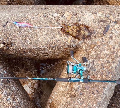 到着して直ぐ❗️