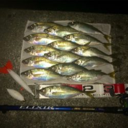 メクリアジ好釣!