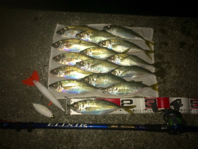 メクリアジ好釣！