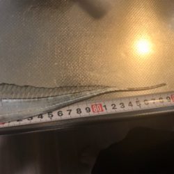 船橋港 太刀魚90cm