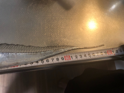 船橋港 太刀魚90cm