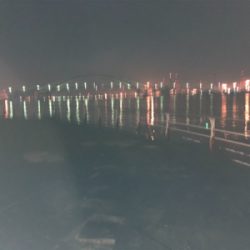 快適な釣りでした