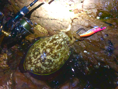 今季初キロアップ