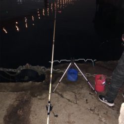 二週間ぶりの釣りですが⁉️