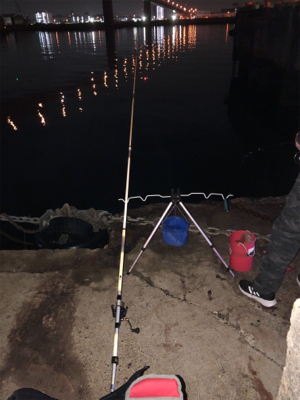 二週間ぶりの釣りですが⁉️