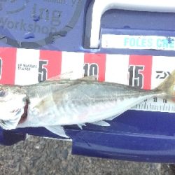 めっちゃ引くやん