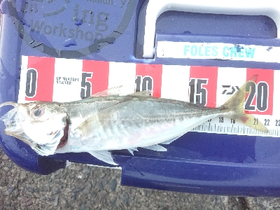 めっちゃ引くやん