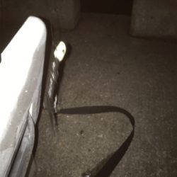 ドラゴンゲット