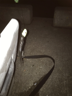 ドラゴンゲット