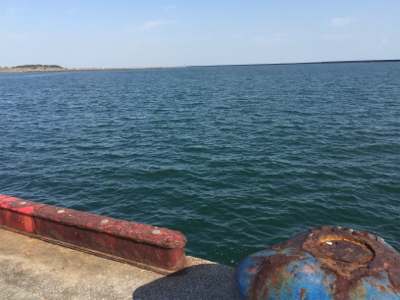 宮崎港 チヌ釣り