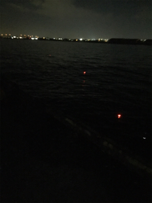 今夜はアカン！1匹だけ！