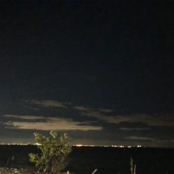 なんとか1本…σ^_^;