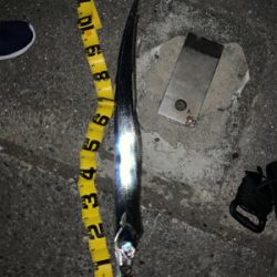 冬到来 ドラゴンタチウオ