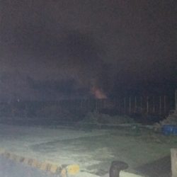 別府港でヒイカ調査!