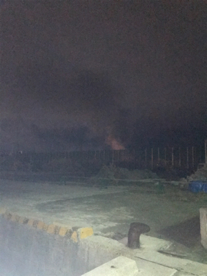 別府港でヒイカ調査!