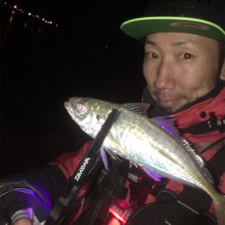 ナイトヒイカと早朝アジング☆GUNNING-STYLE
