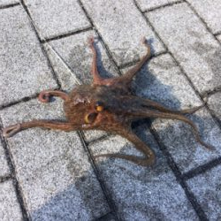 再び修行の日々へ