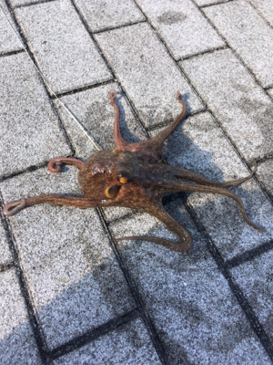 再び修行の日々へ