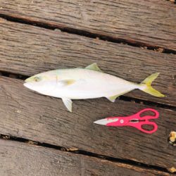 楽しみました！