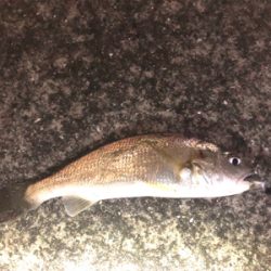 やっぱりホームエリア(^^)