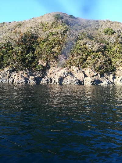 筏でアオリイカ