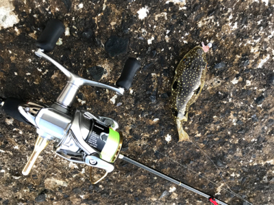 淡路サーフアジング