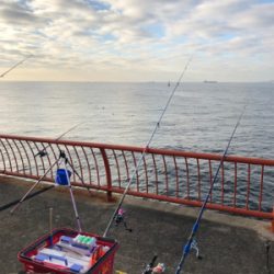 久々の投げ釣りでしたが❗️