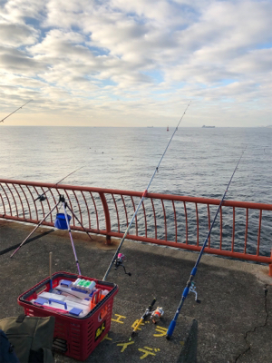 久々の投げ釣りでしたが❗️