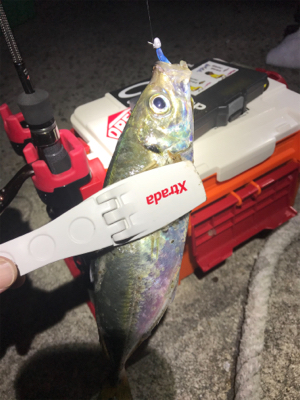 夕マヅメアジング