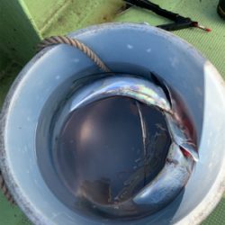 2年ぶりのオフショア