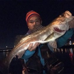 太刀魚多過ぎ！