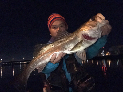 太刀魚多過ぎ！