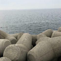 万が一があるならタモ は用意する