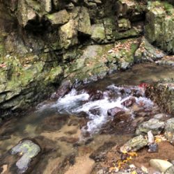 釣れるけど考えて試行錯誤