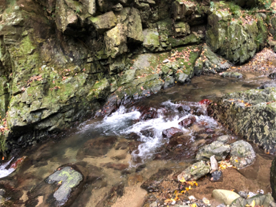 釣れるけど考えて試行錯誤