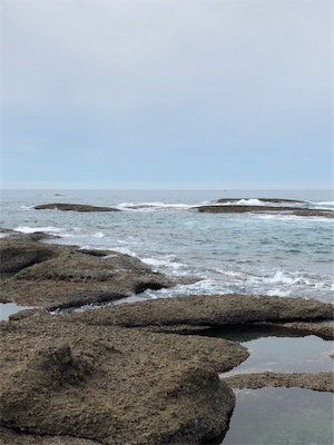 秋いか。終盤かも