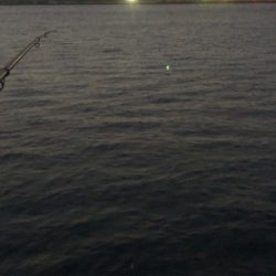 マズメチャレンジ