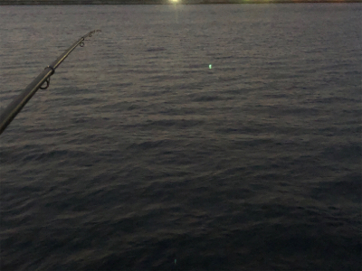 マズメチャレンジ