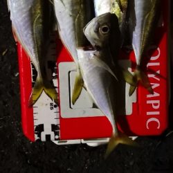 アジング練習 68