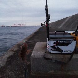 初めての沖堤防で太刀魚青物を求めて