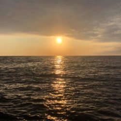 ヒラマサを求めて遠征