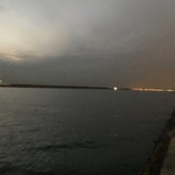 サビキだけ好調^ ^