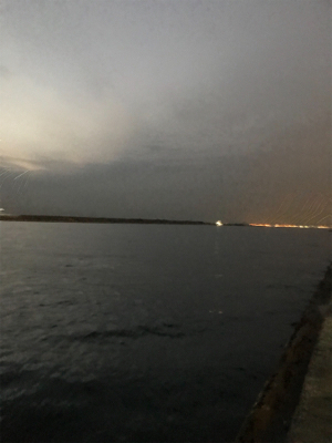 サビキだけ好調^ ^