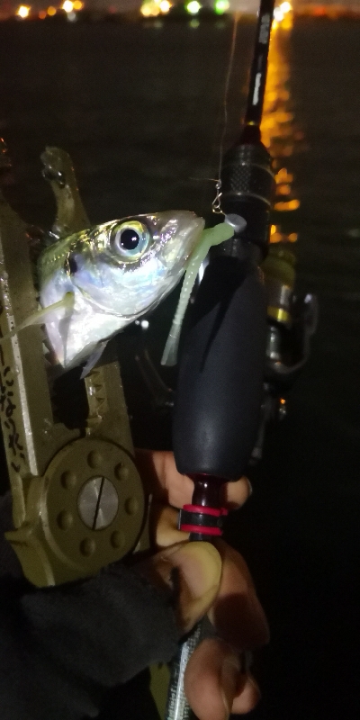 アジング練習 69