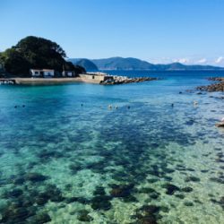 寒いが釣果は熱い