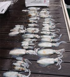 ACEさんにてティップラン