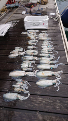 ACEさんにてティップラン