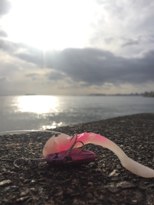 タチウオでかめ