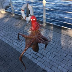 久々にフラッシュJで♪