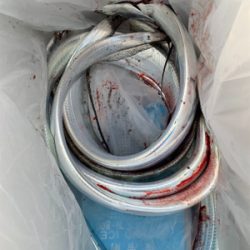 朝まづめ出勤前の朝練